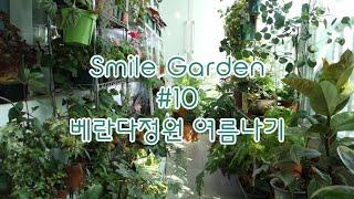 Smile Garden #10 베란다정원 여름나기. 뜨거운 여름~ 저는 이렇게 보내요 