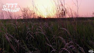 Sleepy sounds of crickets for instant relaxation and sleep | Sounds of nature | Sounds for sleep