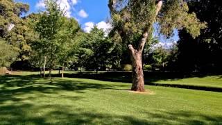 Adelaide Botanic Garden Tour – A Special Place for all Occasions, YouTube