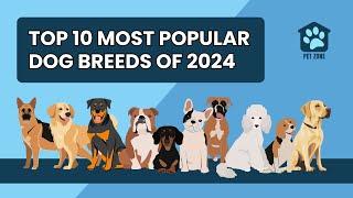 Top 10 Most Popular Dog Breeds of 2024