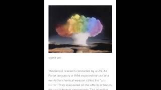 Gay Bomb Weapon: The Bizarre History of the US Air Force's Failed Experiment #shorts