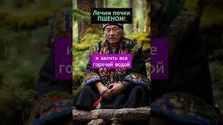 Чистим почки ПШЕНОМ!  #здоровье #народнаямедицина #рецепты
