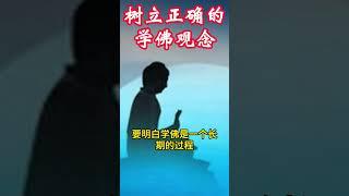 树立正确的学佛观念