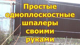 Шпалеры самой простой конструкции для ежевики и винограда своими руками. Просто, быстро и надежно.