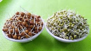 Sprouts in One Night | Ek raat mein Sprouts nikalne ke easy tareeke