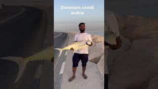 Sowdi arabia,dammam cornech,morning fishing