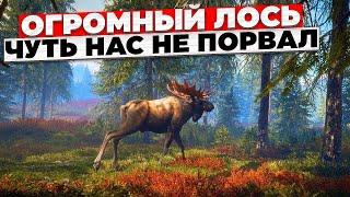 ОГРОМНЫЙ ЛОСЬ ЧУТЬ НЕ РАЗОРВАЛ - the hunter call of the wild !!! 