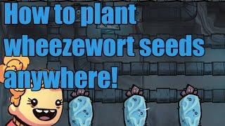 How To Plant Wheezewort Seeds Anywhere You Want!  Oxygen Not Included Tutorial Thermal Upgrade