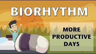 Biorhythm for more productive days
