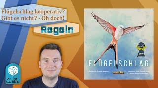 Flügelschlag kooperativ? - Alles was ihr braucht und wissen müsst - mit Regelerklärung