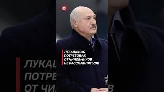 Лукашенко потребовал от чиновников не расслабляться! #лукашенко #политика #новости #беларусь #выборы