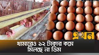 ডিম কিনতে গুনতে হচ্ছে ১৫ টাকা | Egg Price | Poultry Fram | Ekhon TV