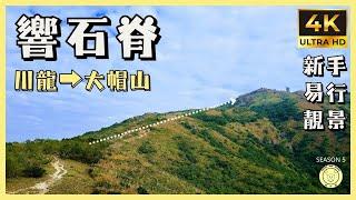 [響石脊] 川龍️妙高台️大帽山 | 開揚靚景山脊 | 全程8.8km | 路線分享 | GPX 分享 | 航拍 #旅行 #hiking #hiking #travel #gpx #行山路線