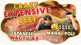 JAPANESE WAGYU A5! CRAZY EXPENSIVE BEEF! MAHAL POL! $$$$