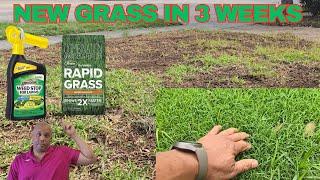 How to Kill Weeds And Grow New Grass In Weeks