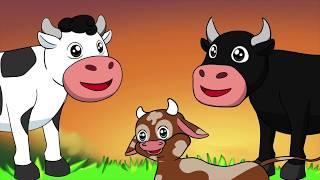 Señora  Vaca y Señor Toro. Canciones Infantiles. Super Divertido