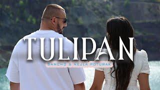 SANCHO & NEJLA POTURAK - TULIPAN (OFFICIAL VIDEO) 2024