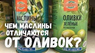 Чем маслины отличаются от оливок?