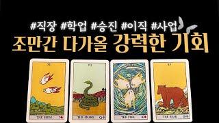 [타로 카드] 나에게 들어올 이동수 (직장운, 학업운, 취업운, 승진) 정확한 리딩