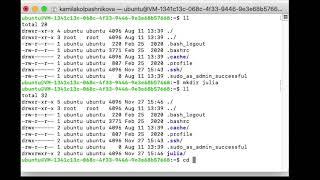 Under 2 min tutorial: How to run Julia on your Exoscale Ubuntu instance