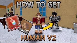 How to Get Human V2 | Part 1 | King Legacy Update 4.5