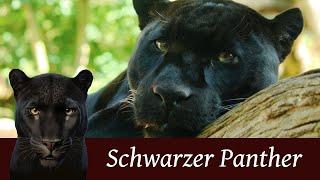 Der schwarze Panther (Black Panther)