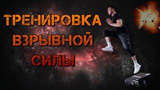 МОЯ ТРЕНИРОВКА НА РАЗВИТИЕ ВЗРЫВНОЙ СИЛЫ, ПРЫЖКА И СКОРОСТИ