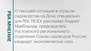 Текущая ситуация в отрасли садоводства на Дону || РБК Мнение