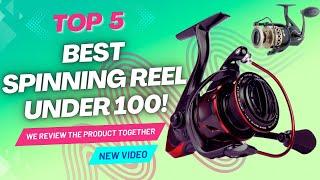 Exploring the Best Spinning Reel Under $100 - Top Picks and Reviews
