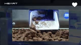 CHOCOFORM EXTRUDER SELMI + AUTOMATIC TRUFFLE PRODUCTION