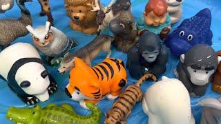 Zoo Animal Toys Washing