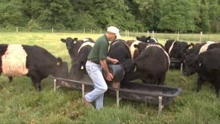 Sherwood Acres Farm, Jon and Sylvia Bednarski