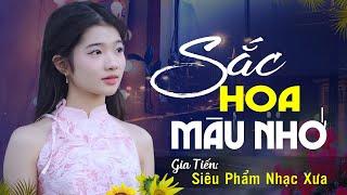 Sắc Hoa Màu Nhớ | Giai Điệu Nhạc Xưa Để Đời | Tuyệt Phẩm Bolero Gia Tiến Mới Nhất