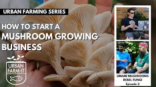 How To Start A Mushroom Growing Business | Episode II | Urban Farming Series