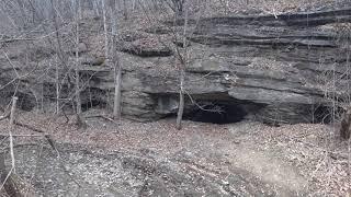 Checking out a bear cave...