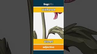  withered - visnet : vocabulary builder : learn English : la oss lære engelsk