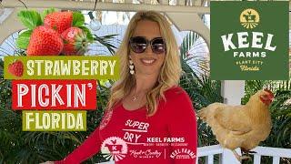 STRAWBERRY PICKING AT KEEL FARM AND CURLEY WINE IN PLANT CITY, FLORIDA * THE GREAT CATCH RESTAURANT*