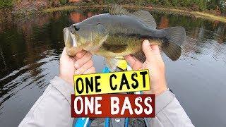 Funny Looking Bass Caught On MS Slammer - Cast To Catch