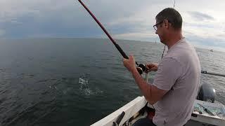 Boat fishing  Swansea Bay