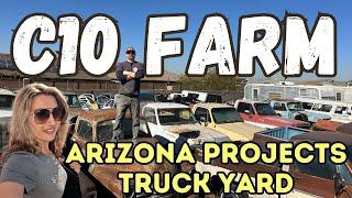 WORLD FAMOUS C10 FARM CHEVY PROJECT TRUCKS SQUARE BODY TRUCKS FOR SALE ARIZONA CARS JUNK YARD