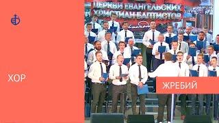 "Жребий" - Хор