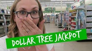 HUGE DOLLAR TREE Shop with Me!  Organization Jackpot!!