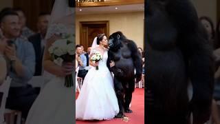 A wonderful fate  #wedding #love #gorilla