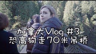 四个人票价上千的超级吊桥【加拿大Vlog】S03E03