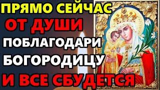 ВКЛЮЧИ МОЛИТВУ И ПОБЛАГОДАРИ БОГОРОДИЦУ ЗА ВСЕ! Молитва Пресвятой Богородице! Православие