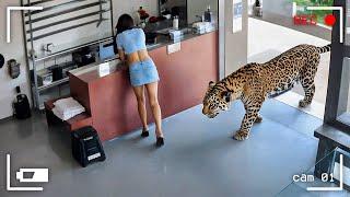 110 Incredible Moments Caught on CCTV Camera