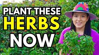 10 Easy Herbs to Start from Seed For A Fall Garden | Herb Growing Tips and Benefits