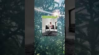 ДОКАЖИ.....Скоро!
