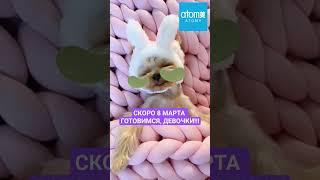 АТОМИ ПОДГОТОВКА К 8 МАРТА #корейскаякосметика #atomy #патчидляглаз видео с https://t.me/sobakeH