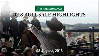 Wattletop 2018 Bull Sale Highlights